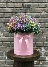Цветочная композиция из Гипсофила и Розы в шляпной коробке #REPLACE_PRED# Чиколе