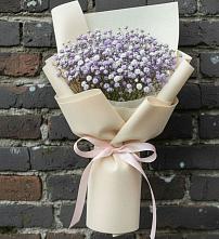 Букет цветов из:  Гипсофила в Чиколе