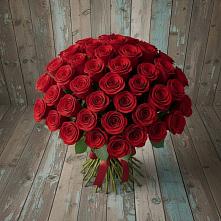 Букет 55 Красных роз Фридом #REPLACE_PRED# Чиколе