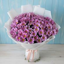 Букет цветов из:  Хризантемы в Чиколе