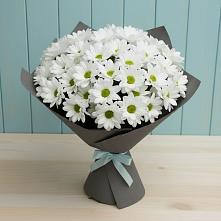 Букет цветов из:  Хризантемы в Чиколе