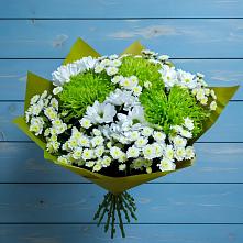 Букет цветов из:  Хризантемы в Чиколе