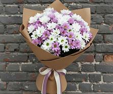 Букет цветов из:  Хризантемы в Чиколе