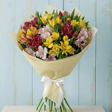 Букет цветов из:  Альстромерии в Чиколе