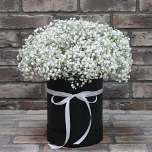 Цветочная композиция из Гипсофила в шляпной коробке в Чиколе