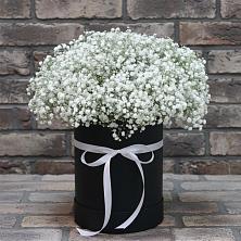 Цветочная композиция из Гипсофила в шляпной коробке в Чиколе