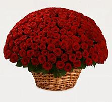 Премиум букет из: Розы #REPLACE_PRED# Чиколе