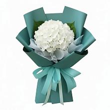 Букет цветов из:  Гортензия в Чиколе